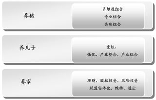 華彩管理咨詢 基于投資與產(chǎn)業(yè)組合戰(zhàn)略的集團(tuán)管控——引領(lǐng)集團(tuán)類咨詢服務(wù)