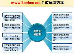 供應(yīng)企業(yè)運(yùn)營管理咨詢 組織結(jié)構(gòu)與流程的常見問題與優(yōu)化路徑