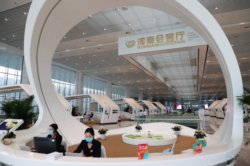 數(shù)智賦能新征程 中國自貿(mào)區(qū)如何助力企業(yè)管理升級助推經(jīng)濟(jì)高質(zhì)量發(fā)展